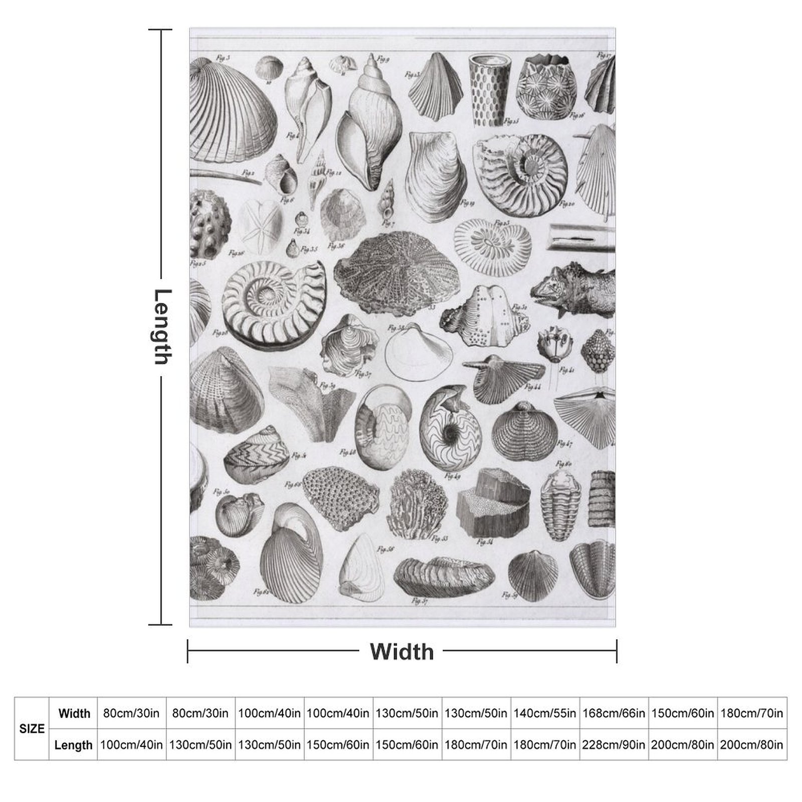 1857 Diagram Paleontologia: Ko – 3D Printing Diagram recenzja i cena