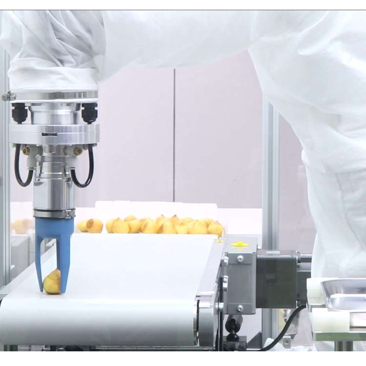 6-osiowy robotyczny ramię CNC  – Linear Guide Rail recenzja i cena